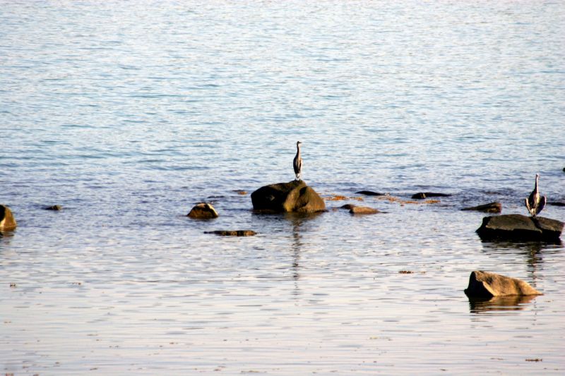 062404 Haines AK (10051)